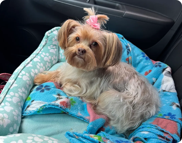 benefit-4-v3_feature_image