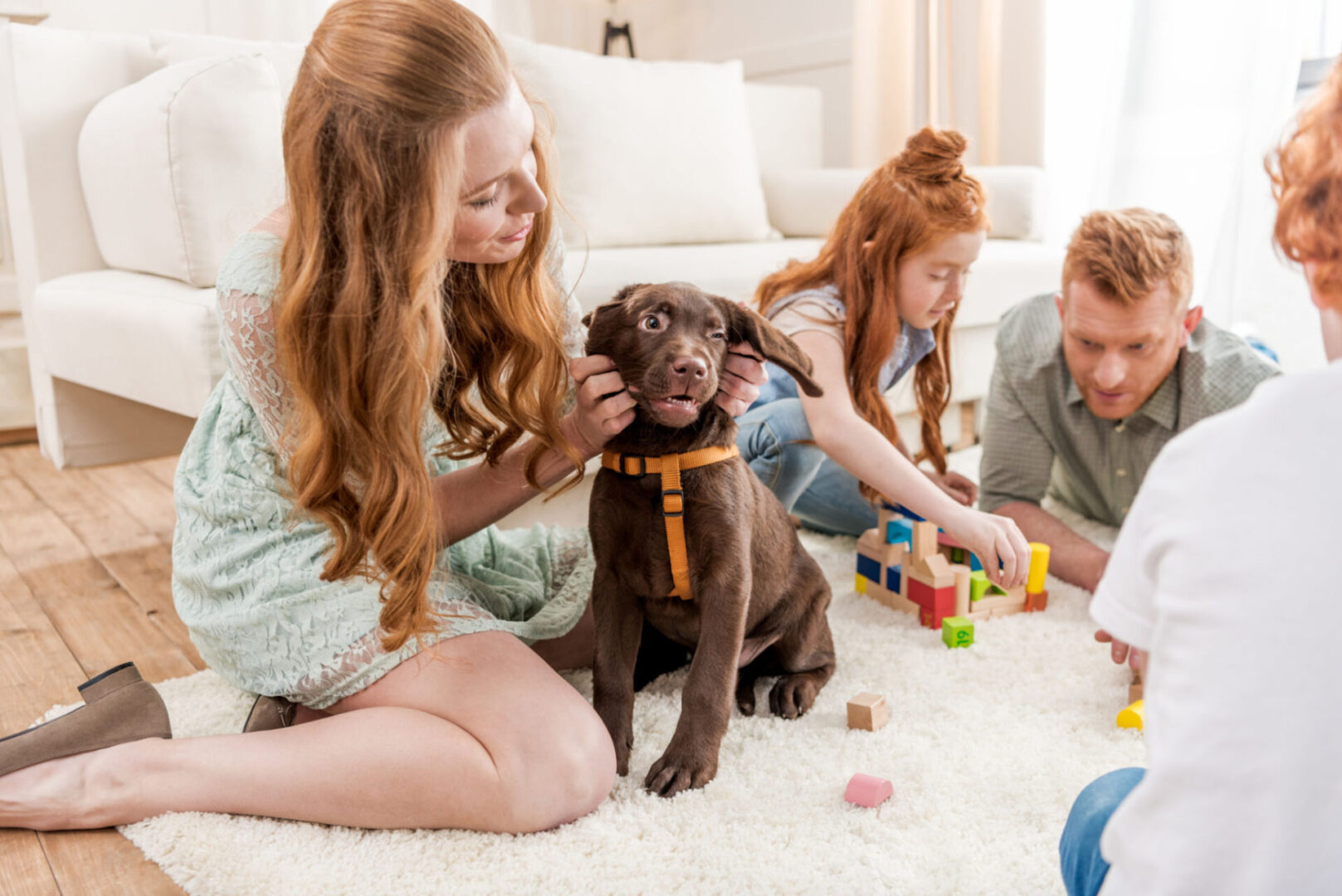 Family playing with puppy on carpet